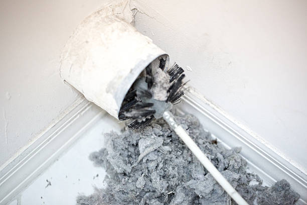 Best Professional Duct Cleaning Services  in Halawa, HI