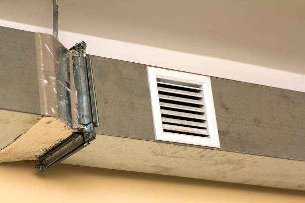 Air Duct Mold Removal in Halawa, HI